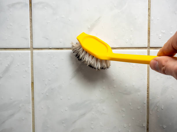 Best Affordable Mold Removal  in Mcalmont, AR