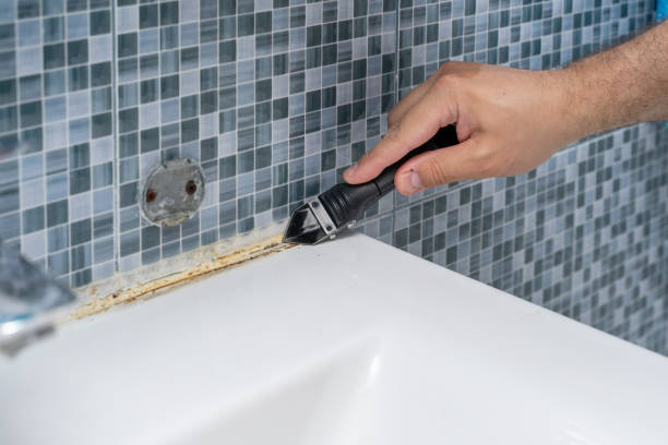 Best Certified Mold Removal  in Mcalmont, AR