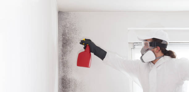 Best Mold Cleaning Services  in Mcalmont, AR